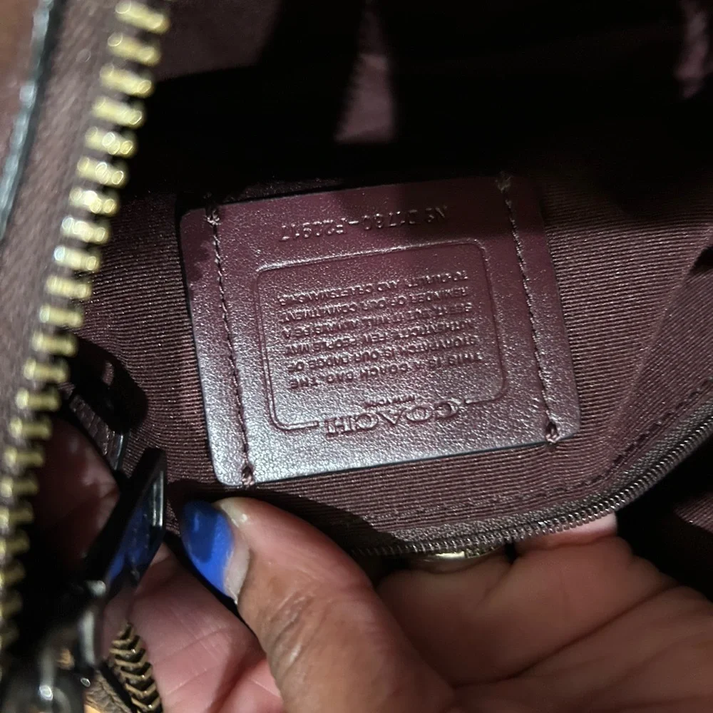 Coach Harley East Purple Snake Hobo Bag